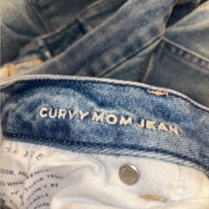 American Eagle Curvy Mom Jean